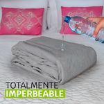 image-0db1d8e1b8614b07ab9bbddcf2eb448b