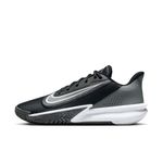 TENIS-NIKE-HOMBRE-FN4322-005-PRECISION