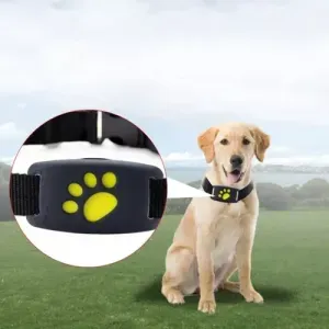 Gps Mini Rastreador De Mascotas Localizador Collar Perro Gat