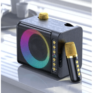 Parlante 20W Karaoke X2 MICS – T-203