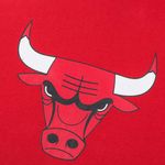 CAMISETA-FEXPRO-HOMBRE-NBATS521000-RED