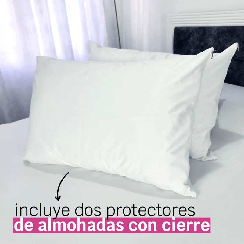 image-08b3c41caeeb45bfafd7b33668c4c735