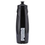 TERMO-PUMA-053813-01