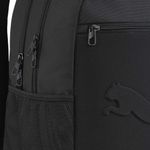 MORRAL-PUMA-091153-01