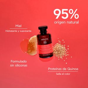 Shampoo Protect Color Seal - Apivita