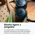 image-d017adaca0454d34921651fa178d3652