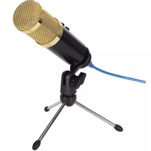 Micrófono Con Condensador BM-858