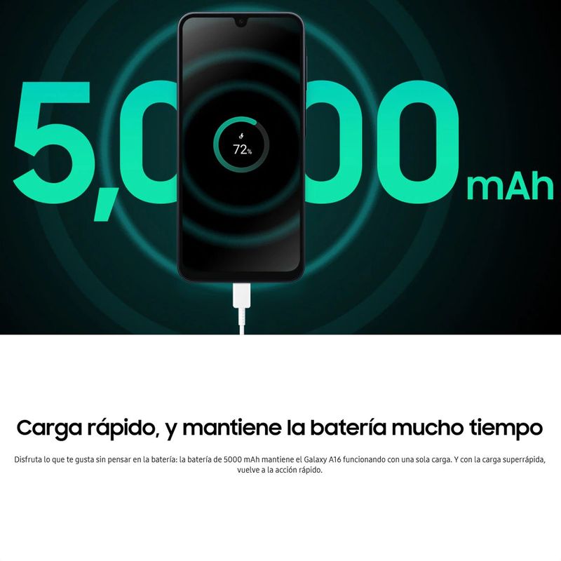 image-cd00096a998a4068a21e62b7243d1a29