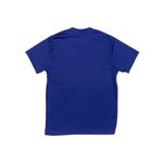 CAMISETA-SWIMSUIT-HOMBRE-3884A