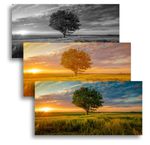 image-7c8d70a33bdd41d9bd594ce159472d07