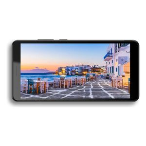 Celular ZTE BLADE A31 LITE Gris