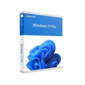 Windows 11 Pro 1 dispositivo