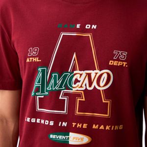 CAMISETA AMERICANINO HOMBRE 841G004