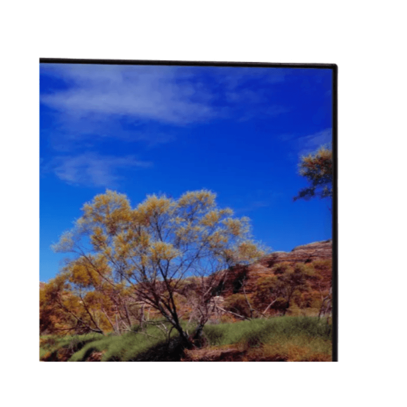 image-798abc66693a4854aac254c001aefa87