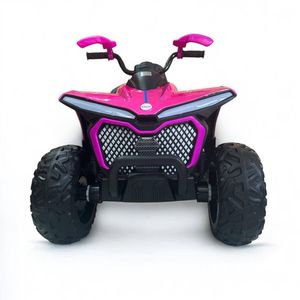 CUATRIMOTO GRANDE CON CONTROL