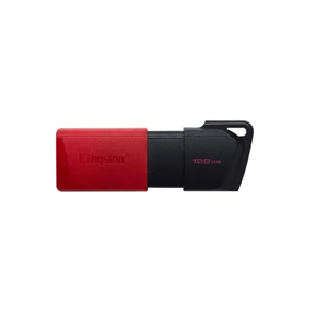 Memoria USB KINGSTON 128 GB Datatraveler Exodia M DTXM