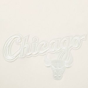 CHAQUETA NBA CHICAGO BULLS HOMBRE NBAHD524201-BG1