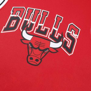 CAMISETA NBA CHICAGO BULLS HOMBRE NBATT524203-RD1