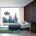 image-eccaf533a91147c3aa300ca3cc3d33a1