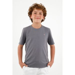 Camiseta básica gris para niño