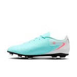 GUAYO-NIKE-HOMBRE-FJ2557-300-PHANTOM-G