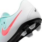 GUAYO-NIKE-HOMBRE-FJ2557-300-PHANTOM-G