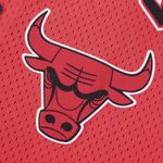 CAMISETA-FEXPRO-HOMBRE-NBAJS525102-RD1