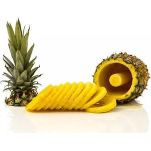 Cortador Rebanador Piña Pelador Despulpador Espiral Metalico