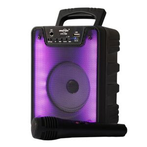 Parlante Portatil Recargable Con Microfono Y Luces Integradas