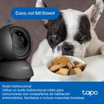image-c8edff1acaef4c94b78807b16019e7f8