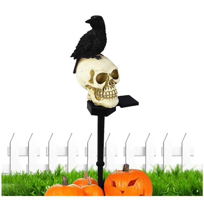 image-acf6a239902841c2a1e5249ce120e23f