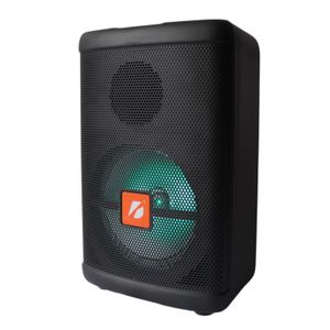 Parlante  Con Microfono Inalambrico Y Control Bluetooth