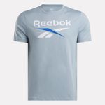 CAMISETA-REEBOK-HOMBRE-100216168