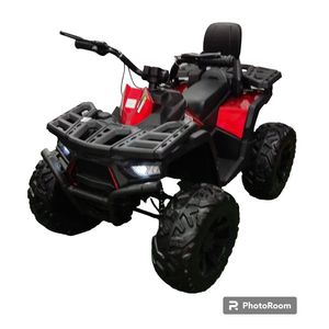 CUATRIMOTO Eléctrica Speed Pro 607 frenos