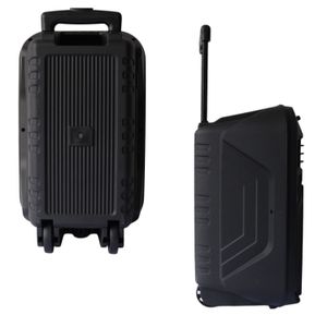 Parlante Bluetooth Recargable Con Microfono Y Luces