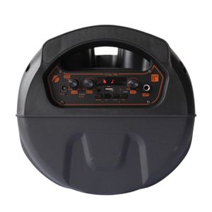Parlante Recargable Con Microfono Y Control Remoto