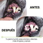 image-a4dc4c7f951145e9ac25191dd4ab3419