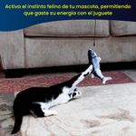 image-f5545d4718264ce18e0241a7f50ee639