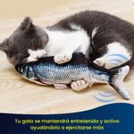 image-d84dc0cc7841414b9446aaf9c73a98d5