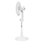 image-8cceab270ac24874bc17fa236402a262