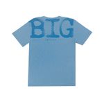 CAMISETA-BRITOS-HOMBRE-15A110