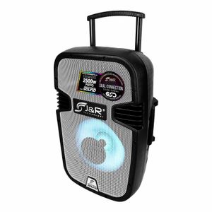 Cabina Activa Directa  12"  Amplificada de dos vías Potencia 150RMS Reales