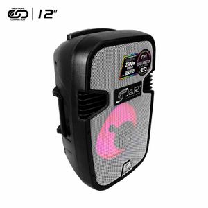 Cabina Activa Directa  12"  Amplificada de dos vías Potencia 150RMS Reales