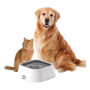 Tazon Bebedero Gatos Antiderrame Tazon Bebedero Perros Gatos