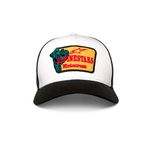 GORRA-ALPINESTARS-1244-81610-2010