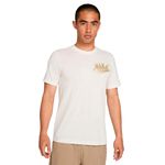 CAMISETA-NIKE-HOMBRE-HJ3609-133