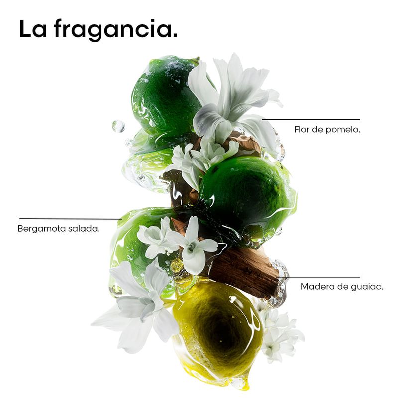 image-9f0a7c4b615448fdb7d3a1d2b2fe61a3