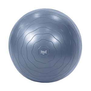 Bola De Ejercicio Everlast 65cm