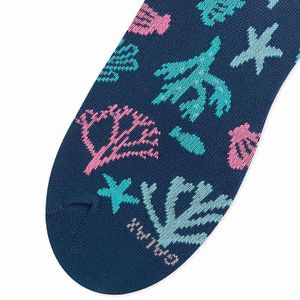 MEDIAS GALAX MUJER SABINA NYLON JR X5 SURTIDO 7000