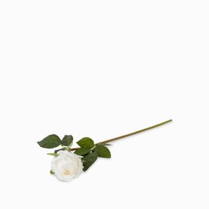 Rosa blanca 43cm